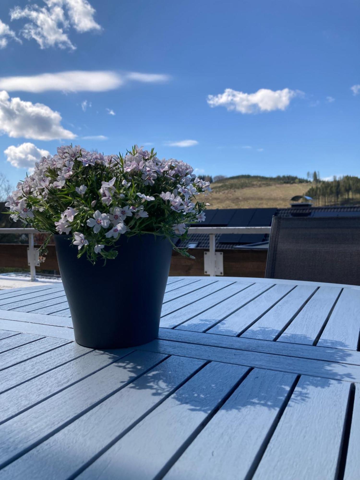 Design-fewo Sonnendeck Apartment Winterberg